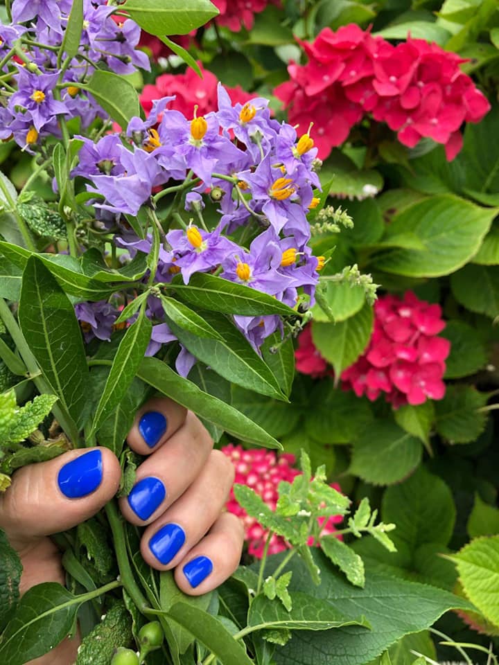 ACdermacraft Nails