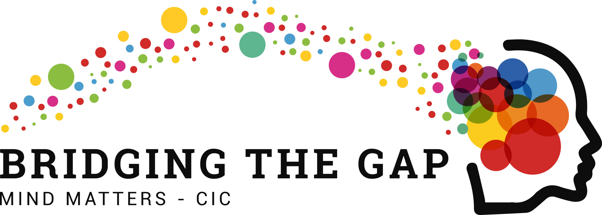Bridging the Gap image
